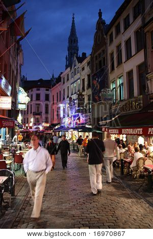 Bruxelles nat