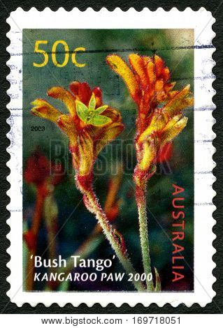 AUSTRALIA - CIRCA 2003: A used postage stamp from Australia depicting an image of a Grevillea flowering plant circa 2003.