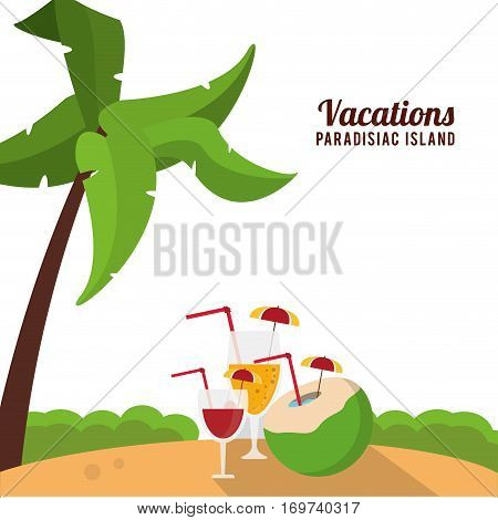 vacations paradisiac island beach cocktails palm vector illustration eps 10
