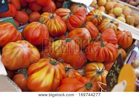Close-up of tomatoes on display in store