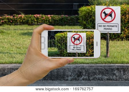 Concept of smartphone IOT to translate text on sign from Spanish to English using real time language translation app.