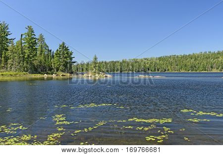 Quiet Bay in the North Woods on Crawford Lake in Quetico Provincial Park in Ontario