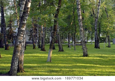 Gorno-Altaisk, Russia - July 12, 2016: Lenin Square, Gorno-Altaisk, Altai Republic, Siberia, Russia