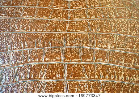 Brown leather texture look nice and cool