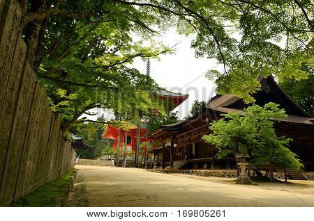 Walking path amongst the temples of Mount Koya - Wakayama prefecture, Japan