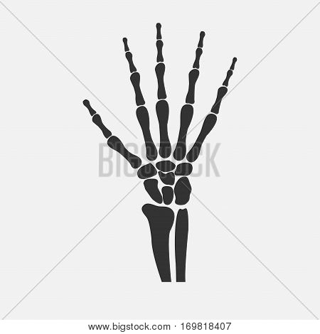 human wrist hands bones icon - vector illustration