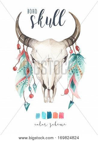 Watercolor bohemian cow skul and featherl.  Western mammals. Watercolour hipster deer boho decoration print antlers. flowers, feathers. Isolated on white background. Boho style.  Hand drawn ethnic themed design.