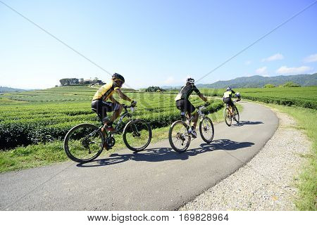CHIANGRAI, THAILAND - NOV 29 2014: Singha mountain bike challenge in Singha park Chiangrai in farm festival 2014.