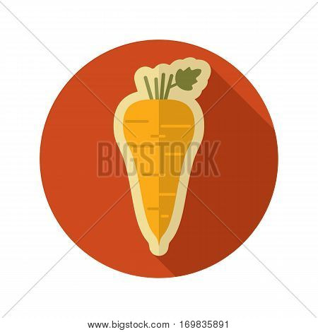 Parsnip root flat icon. Vegetable vector illustration