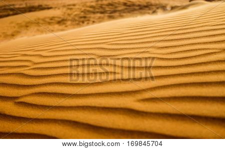 Desert and Sand Dunes. Dubai. United Arab Emirates