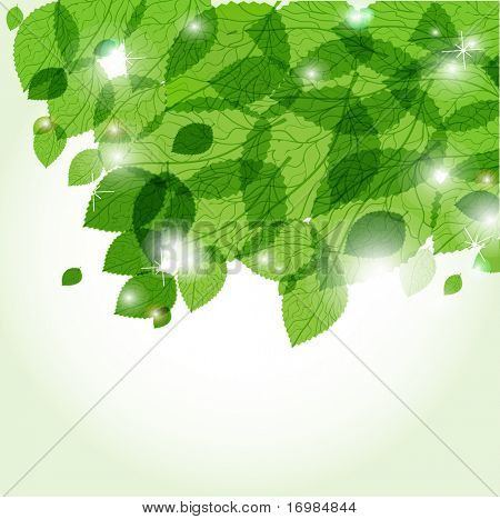 Frische grüne Blätter und Lichter. Ökologische Vektor Hintergrund