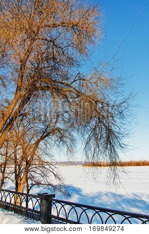 Winter Park On The Embankment
