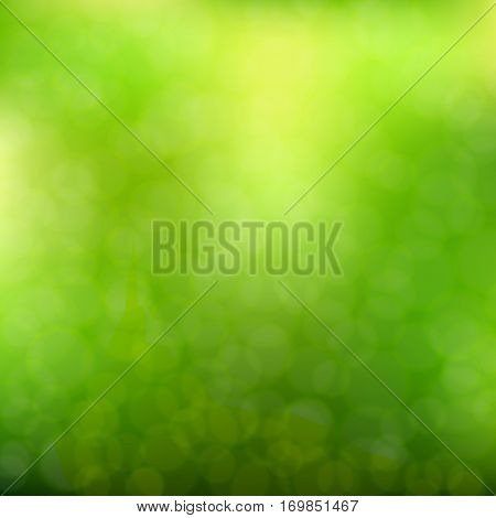 Blurred Green Background