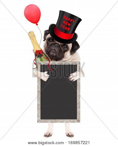 cute pug puppy dog wearing top hat with text happy new year holding champagne bottle and blank blackboard sign isolated on white background