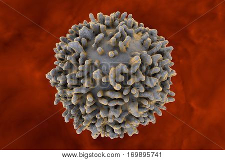 White blood cell, leukocyte, T or B lymphocyte, 3D illustration