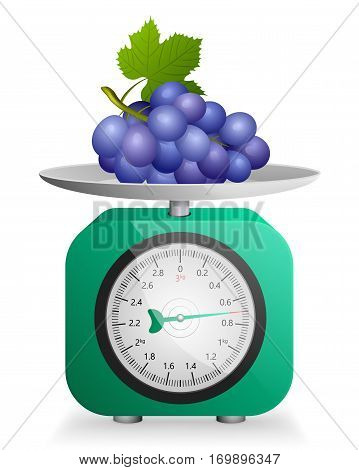 Blue grapes on green mechanical scale vector