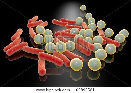 Microbes of different shapes. Rod-shaped and spherical bacteria on a plane with reflections. 3D illustration