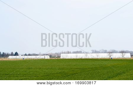 Greenhouse in green field in early spring - French village agriculture
