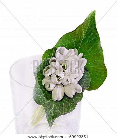 White Galanthus Flowers, Bouquet, Floral Arrangement (snowdrop, Milk Flower), In Romanian Know As 