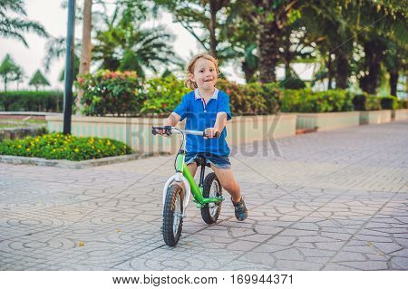 Active Blond Kid Boy Driving Bicycle In The Park Near The Sea. Toddler Child Dreaming And Having Fun
