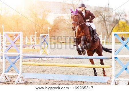 Young female rider on bay horse jumping over hurdle on equestrian sport competition