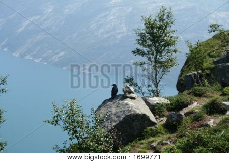Fiordos noruegos