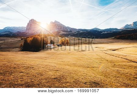 Lovely yellow pasture in sunlight. Unusual and gorgeous scene. Location place Dolomiti, Compaccio village, Seiser Alm or Alpe di Siusi, Province of Bolzano - South Tyrol, Italy, Europe. Beauty world.
