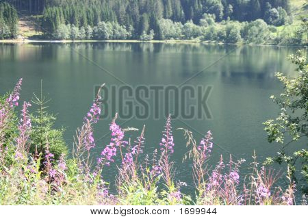 Fiordos noruegos