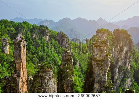 Famous tourist attraction of China - Zhangjiajie stone pillars cliff mountains on sunset at Wulingyuan, Hunan, China