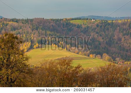 Beautiful Polish Autumn Woods Landscape