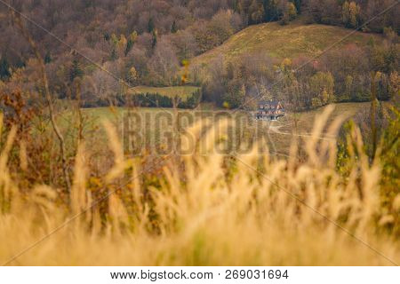 Beautiful Polish Autumn Woods Landscape