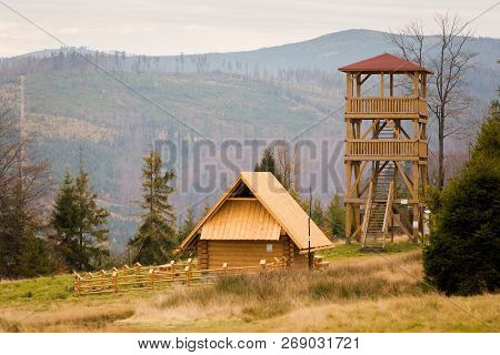 Beautiful Polish Autumn Woods Landscape