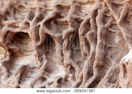 Tafoni Weathering In Red Natural Sandstone Wall.