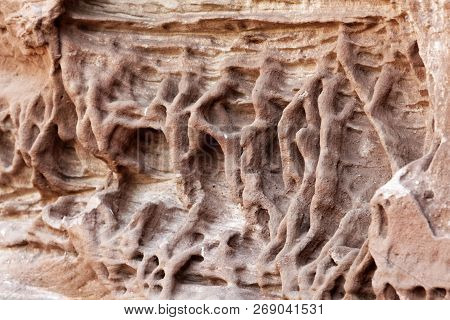 Tafoni Weathering In Red Natural Sandstone Wall.
