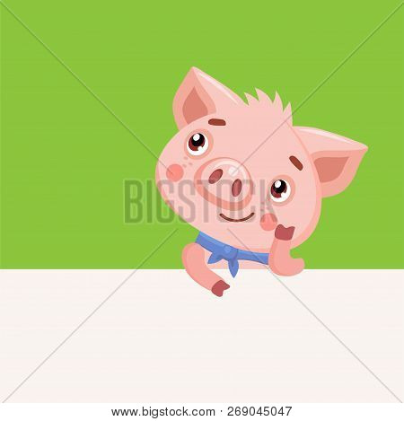 Cute Baby Pig Vector Illustration. Cartoon Animals Characters. Funny Cartoon Pig Vector Character. H