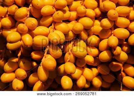 Full Frame Background Close Up Of Date Palm Or Phoenix Dactylifera. Photo Taken In South Of Spain