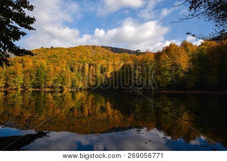 Fall Time At The Big Lake At The Yedigoller National Park, Turkey. Fall Is Famous At This Place. Ref