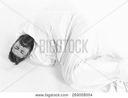 Hipster With Beard Fall Asleep, Wrapped In Blanket Like Cocoon.