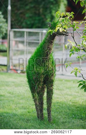 Sculpture Giraffe From Green Grass At Park.