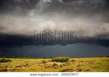 Thunderstorm Moving Over A Savannah In Maasai Mara Game Reserve, Kenya.