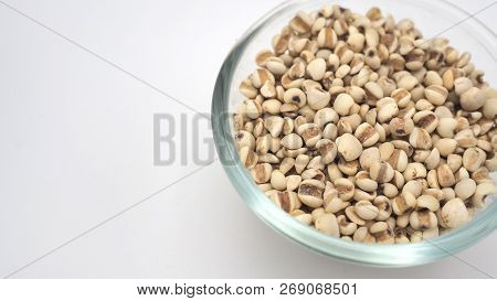 Job's Tears, Also Known As Adlay And Coix On White Background. Popular In Asian Cultures As A Food S