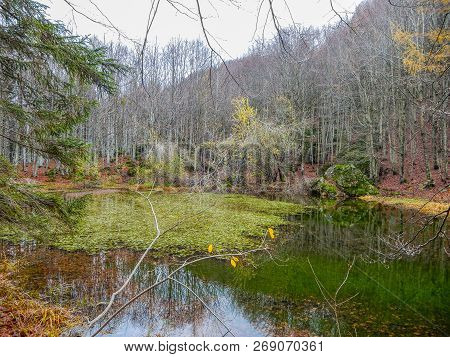 Autumnal Landscape Of Penna Lake, A Small Mountain Pond On Penna Mount, In The Aveto Regional Natura