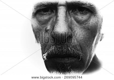 Man Face From Eyebrows To Chin