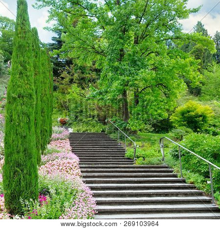 Flower Garden And Other Plants, A Staircase And A Waterfall On The Island Of Mainau (lake Constance,