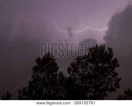 Single Strike Of Lightning Coming From The Clouds Above Trees