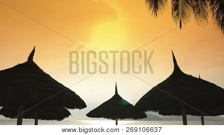 Silhouettes Of Beach Chairs In The Evening Sky In Vietnam With Palm Trees. View Of Umbrellas From A 