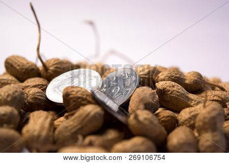 Close Up Of Peanuts Or Groundnuts With Indian Coins On Isolated Background