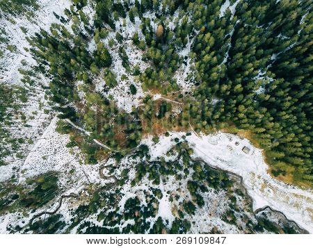 Aerial Photography Of A Forest In Winter