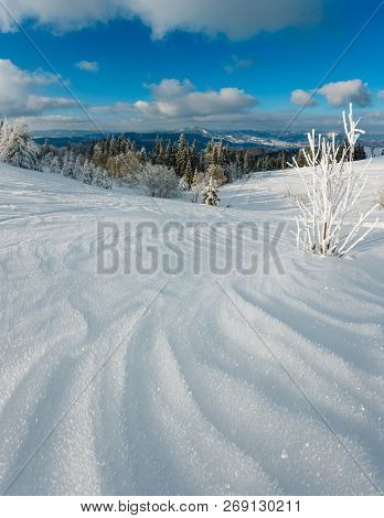 Winter Calm Mountain Landscape With Beautiful Frosting Trees And Snowdrifts On Slope (carpathian Mou