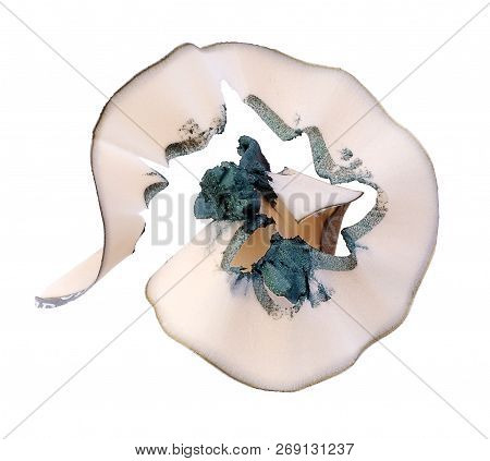 Green Eye Pencil Shaving On White Background With Clipping Path